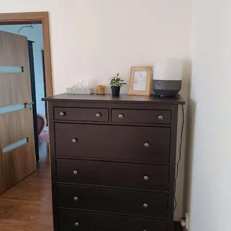 Apartment Roses Frydek-Mistek