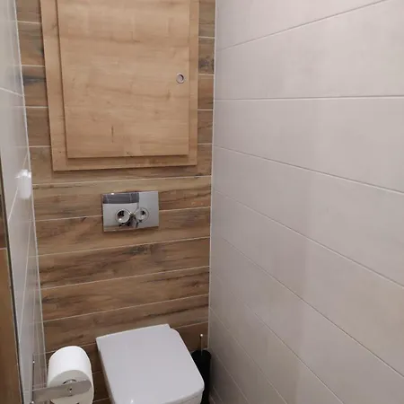 Apartment Roses Frydek-Mistek